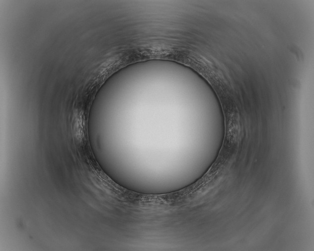 X0000111920866200908031202