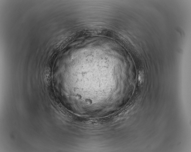 X0000111920867200908031202