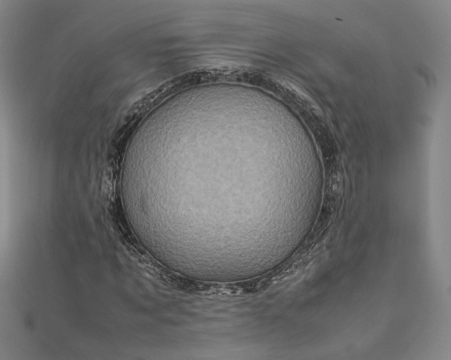 X0000111920869200908031202