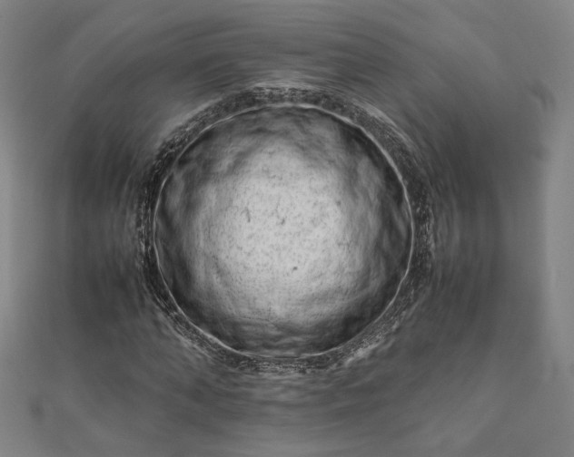 X0000111920870200908031202