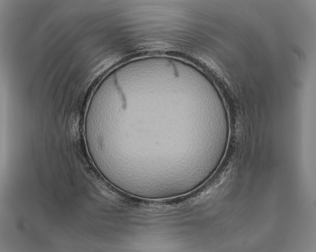 X0000111920873200908031202