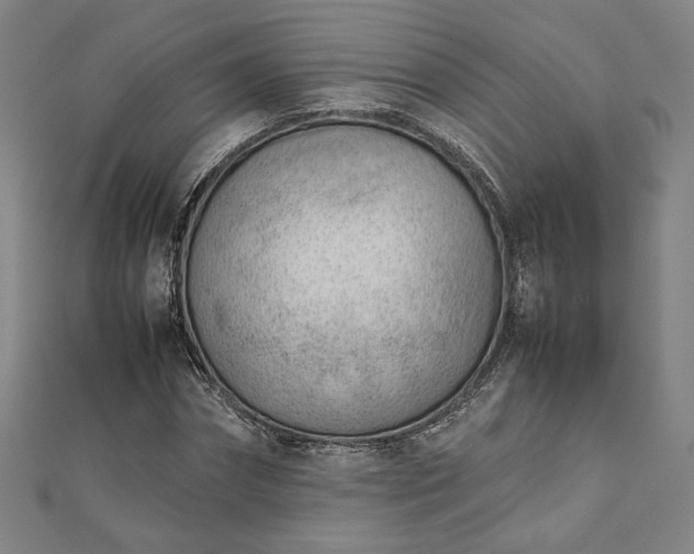 X0000111920874200908031202