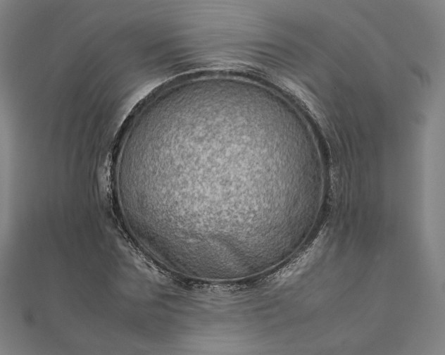 X0000111920875200908031202