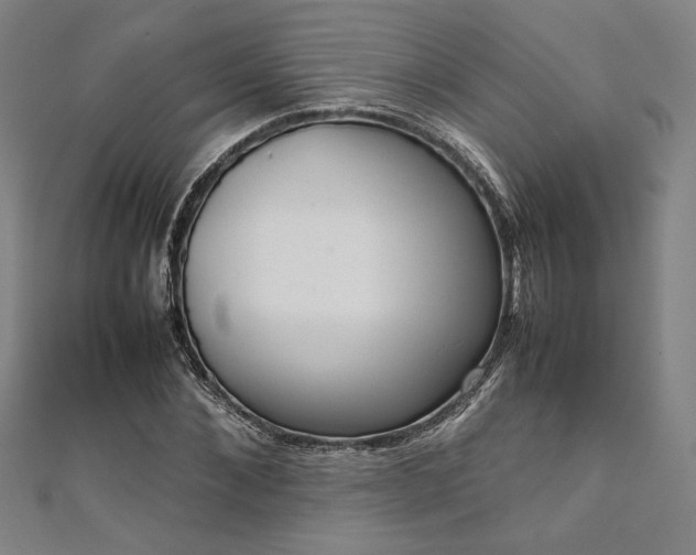 X0000111920876200908031202