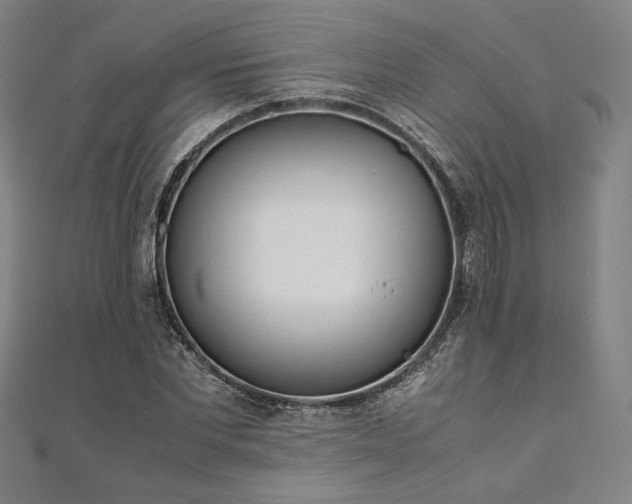 X0000111920877200908031202