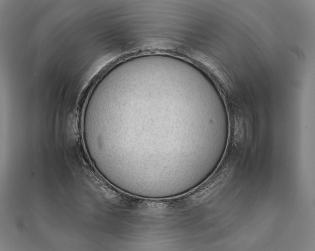 X0000111920878200908031202