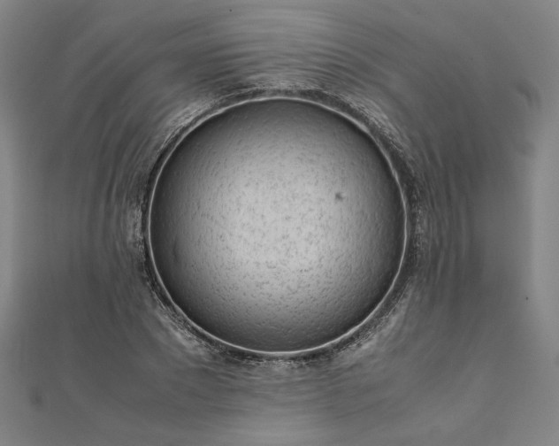 X0000111920881200908031202