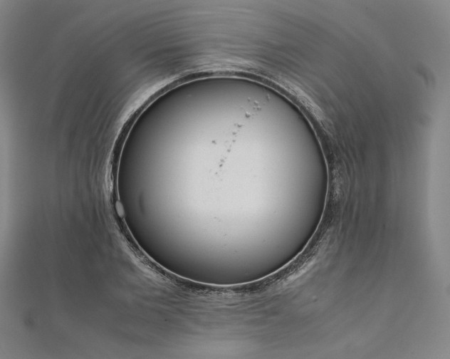 X0000111920885200908031202