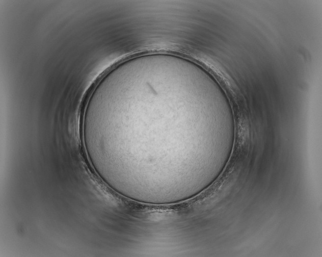 X0000111920886200908031202