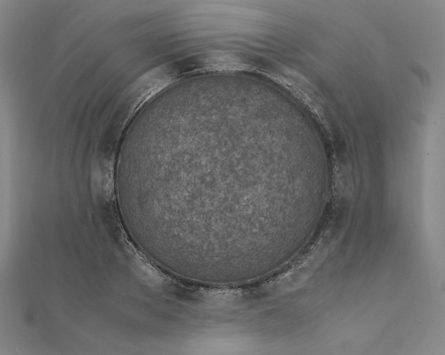 X0000111920889200908031202