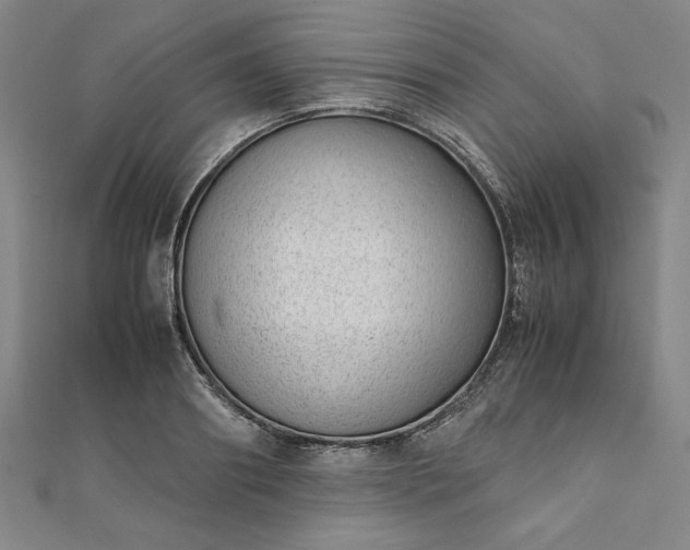 X0000111920890200908031202