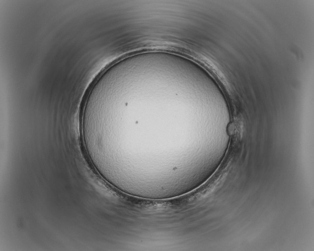 X0000111920891200908031202