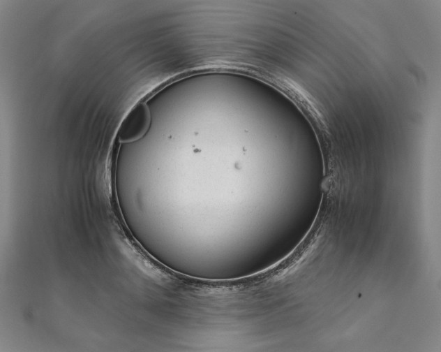 X0000111920892200908031202