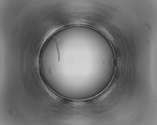 X0000111920893200908031202