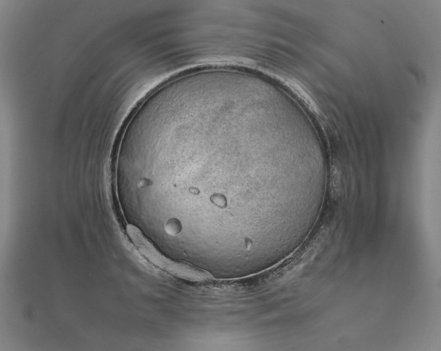 X0000111920895200908031202