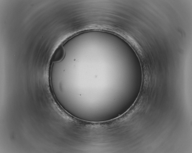 X0000111920896200908031202