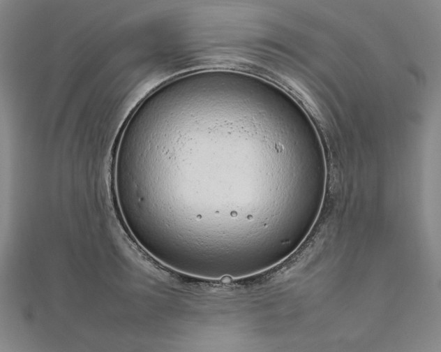 X0000111920899200908031202