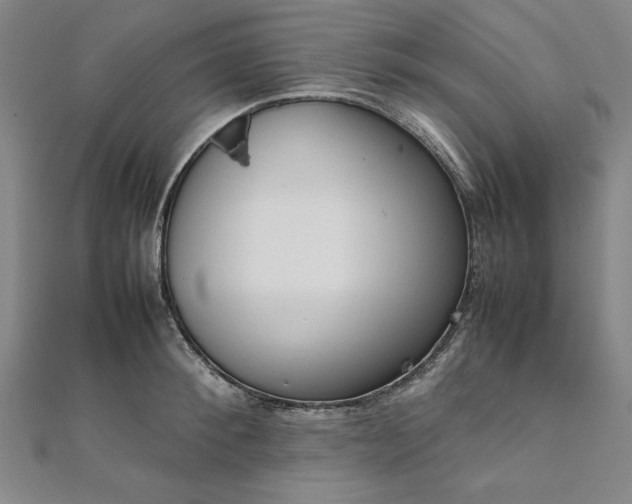 X0000111920900200908031202