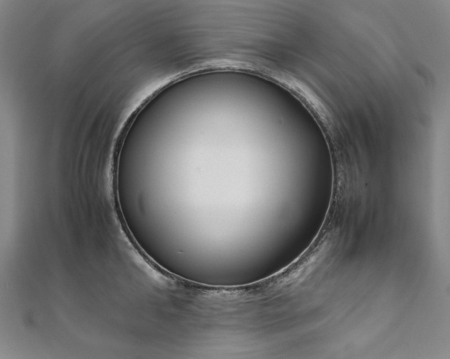 X0000111920902200908031202