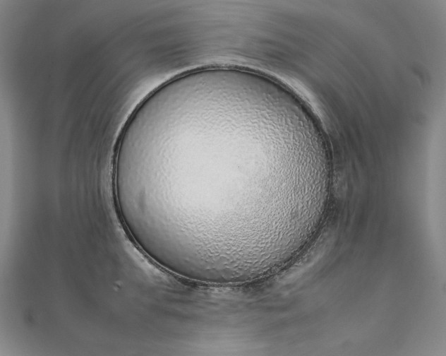 X0000111920903200908031202