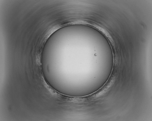 X0000111920905200908031202