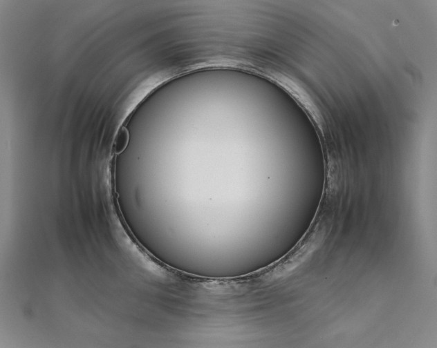 X0000111920906200908031202