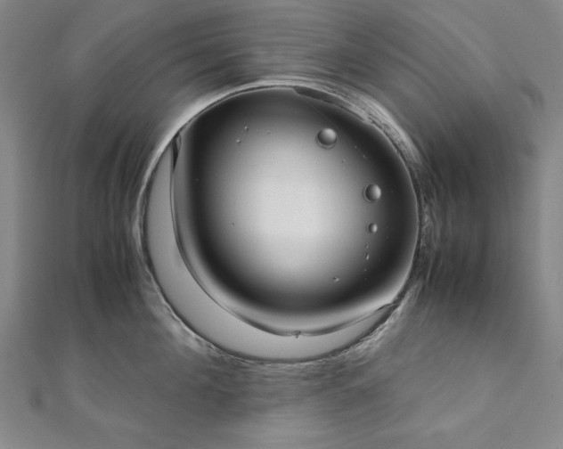 X0000111920908200908031202