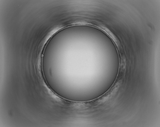 X0000111920909200908031202