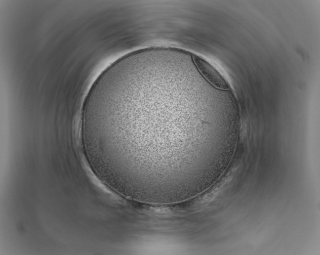 X0000111920911200908031202