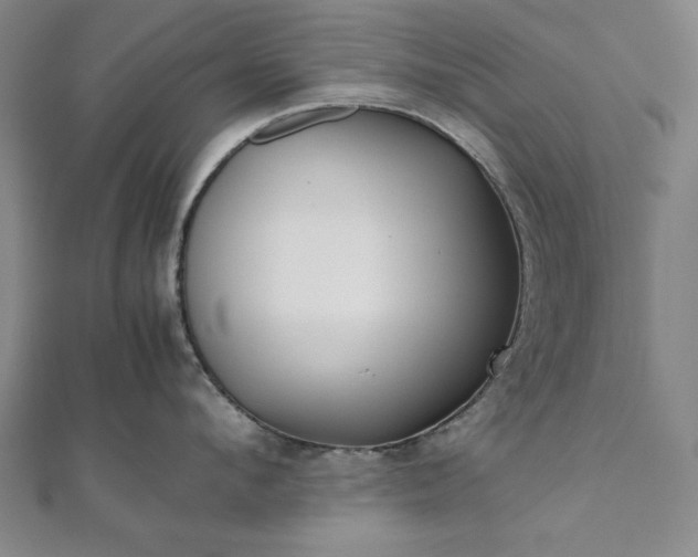 X0000111920912200908031202