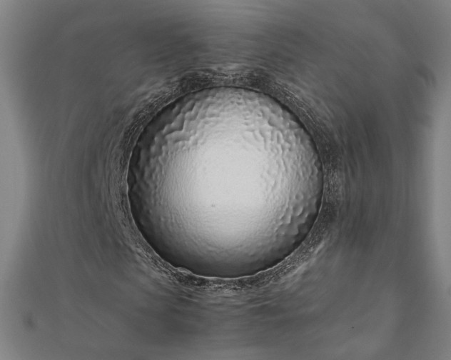 X0000111920913200908031201