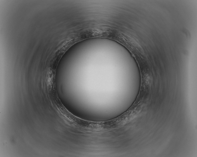 X0000111920914200908031201