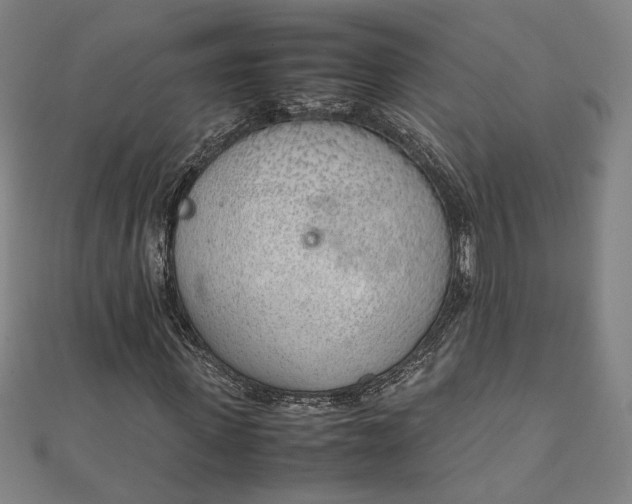 X0000111920915200908031201