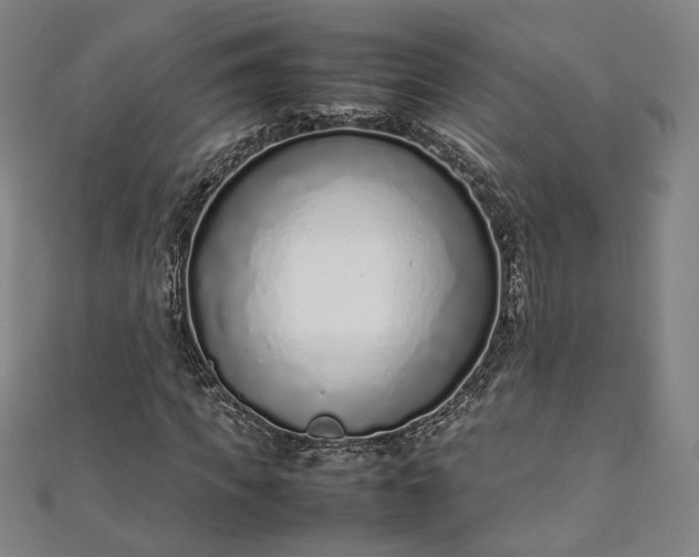 X0000111920917200908031201