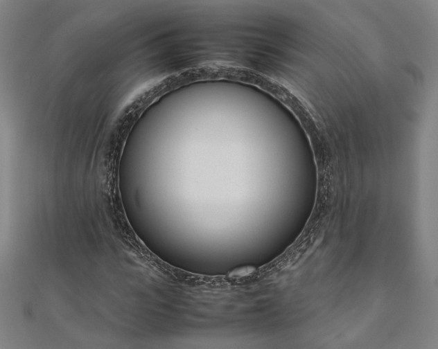 X0000111920919200908031201