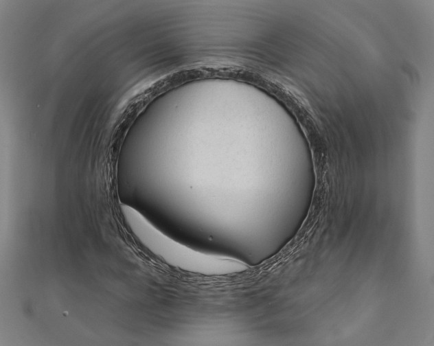 X0000111920920200908031201