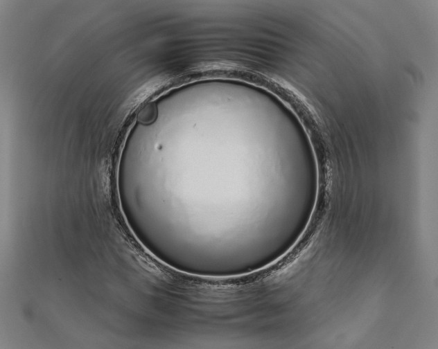 X0000111920921200908031201