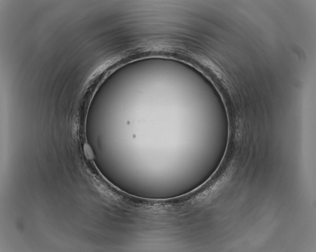 X0000111920922200908031201