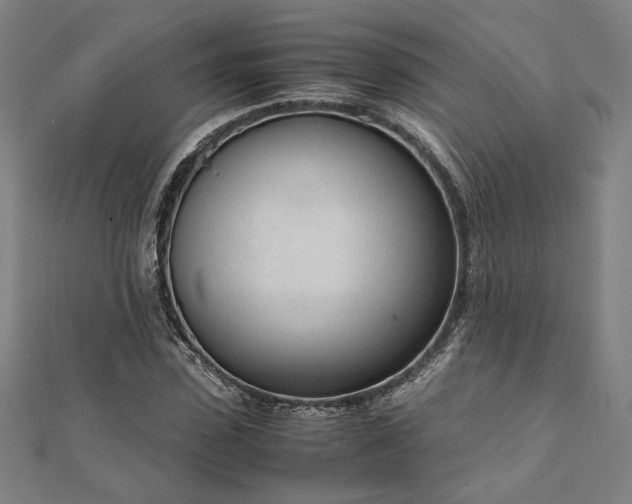 X0000111920923200908031201