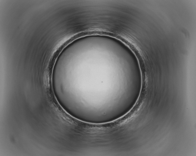 X0000111920925200908031201