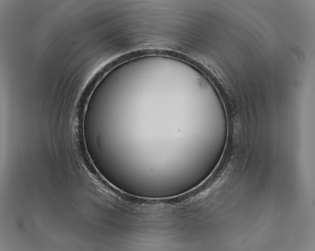 X0000111920926200908031201