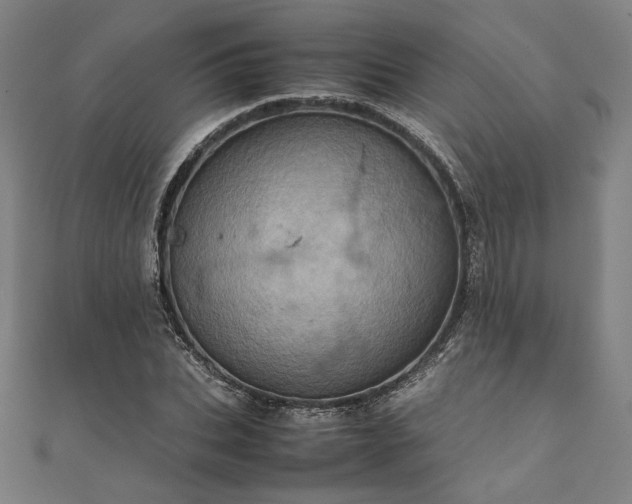 X0000111920927200908031201