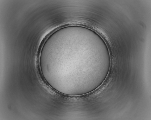 X0000111920928200908031201