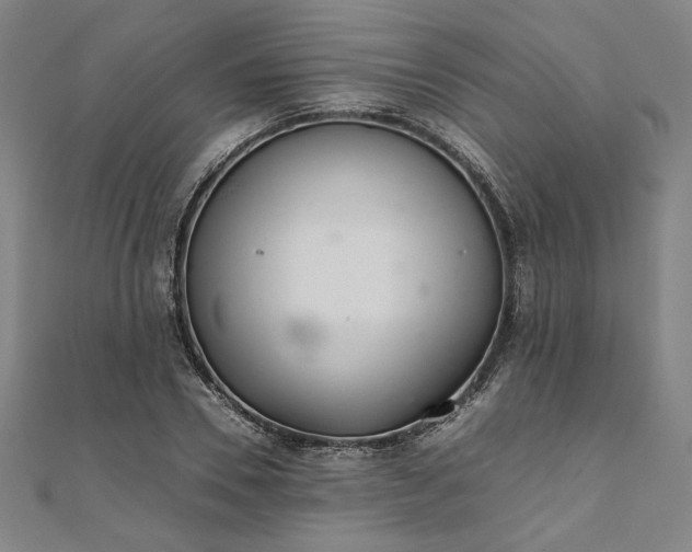 X0000111920930200908031201