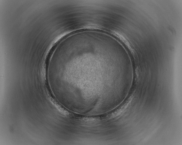 X0000111920931200908031201