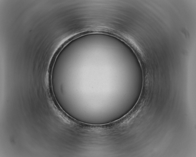 X0000111920932200908031201