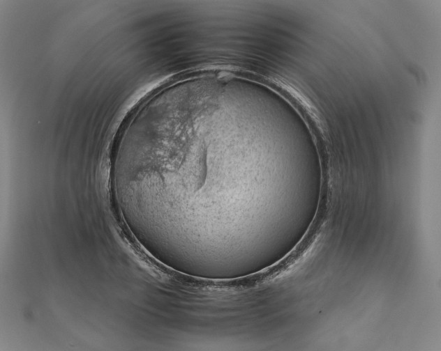 X0000111920933200908031201