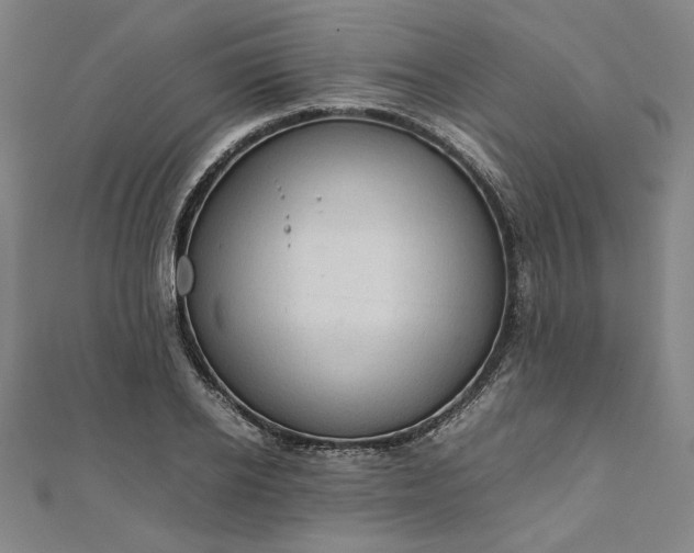 X0000111920934200908031201