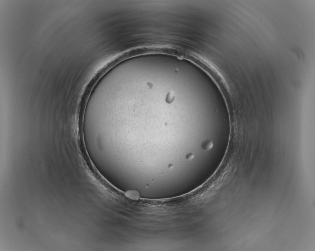 X0000111920935200908031201