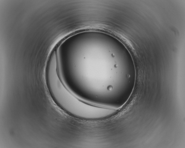 X0000111920936200908031201